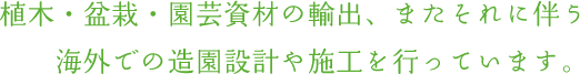 植木・盆栽・園芸資材の輸出、またそれに伴う海外での造園設計や施工を行っています。