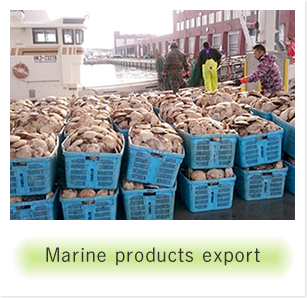 Marine products export